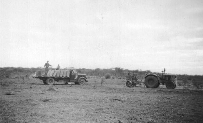 seeding